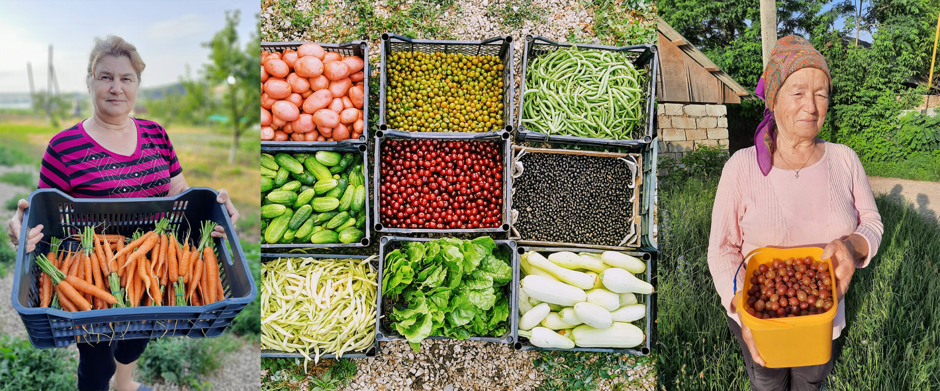 EcoVisio stöttar ekologisk odling i Moldavien