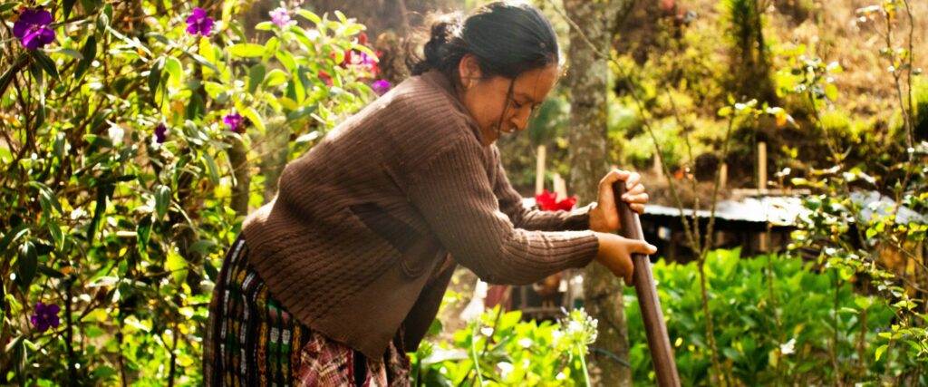 Kvinna arbetar i trädgård