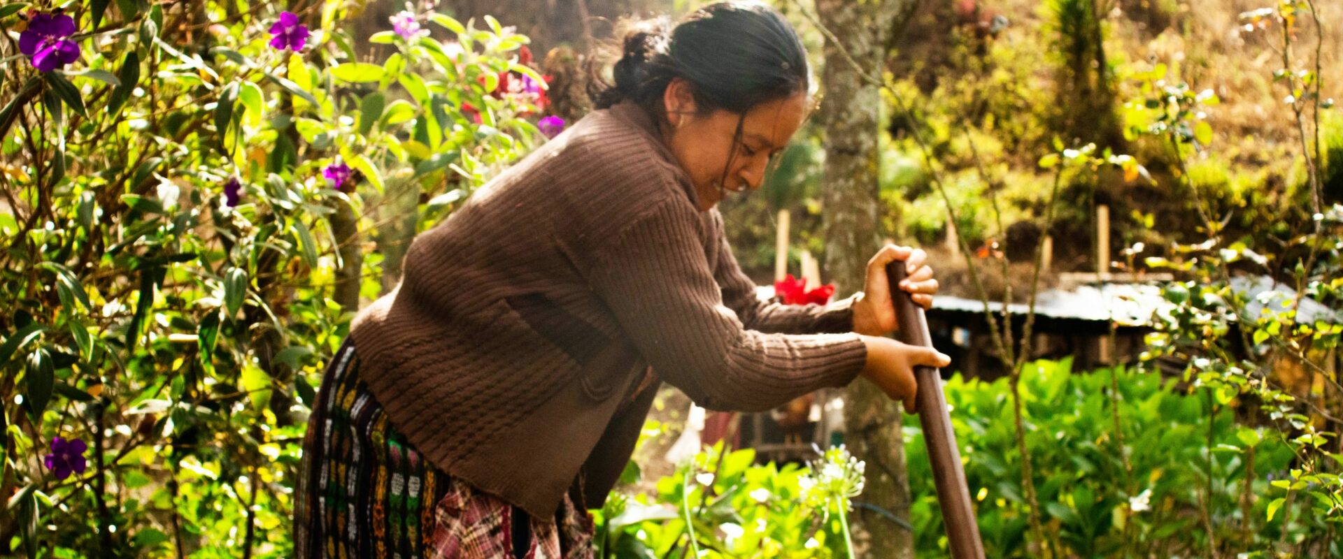 Kvinna arbetar i trädgård