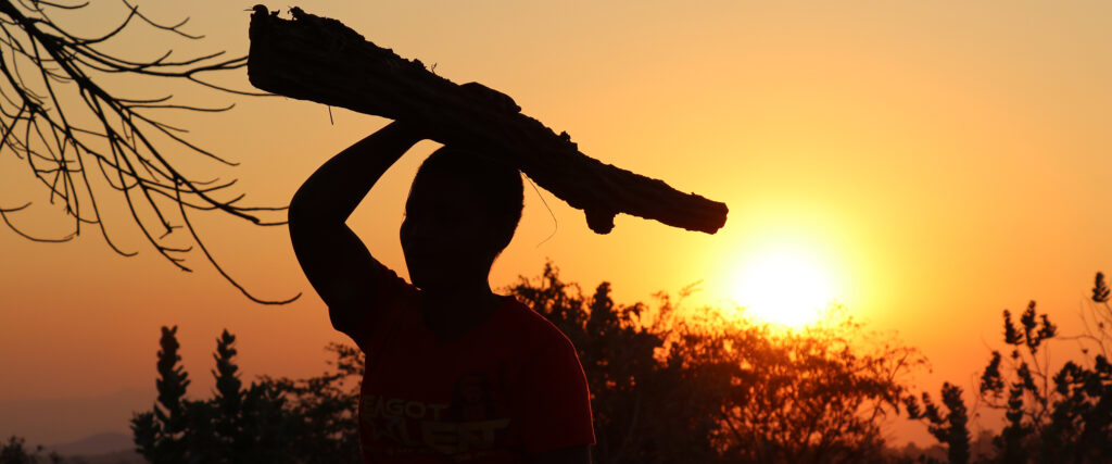 Flicka i Malawi samlar ved