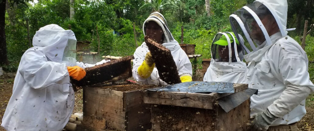 Biodling i El Salvador