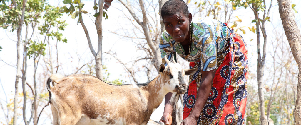 Getterna har stärkt Marys ekonomi - och hennes självförtroende.