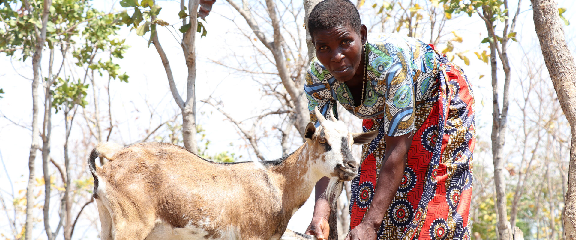 Getterna har stärkt Marys ekonomi - och hennes självförtroende.