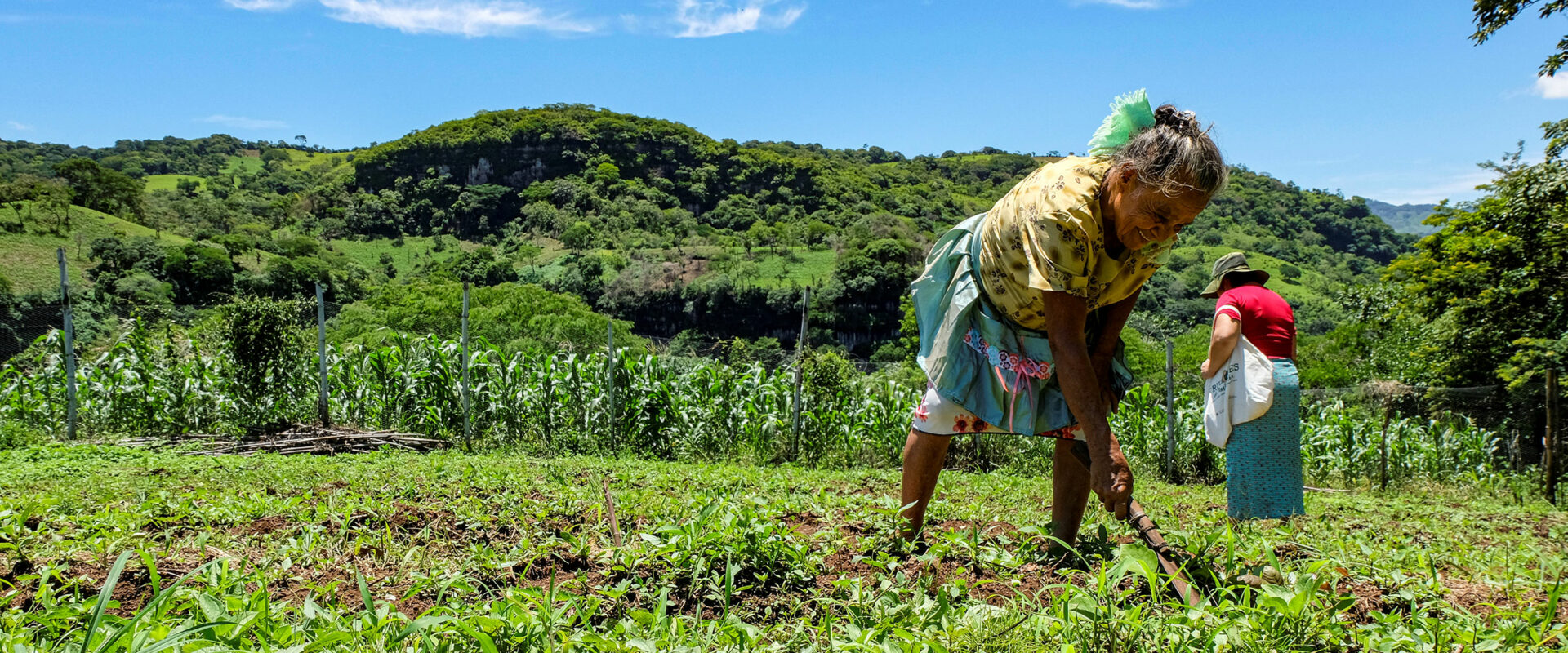Martina Jacinto Aldana arbetar på fältet på Anades